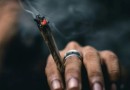 Porte de drogas poderia libertar 42 mil pessoas no Brasil, aponta estudo