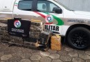 Polícia Militar encontra e apreende mais de 500 kg de maconha