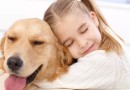 A importância da relação entre pets e crianças