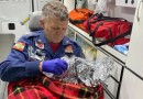 Mulher ouve campainha tocar e encontra recém-nascido abandonado em caixa