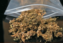 Popularização da droga K9 preocupa autoridades