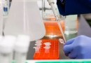 Homem que tomou 217 vacinas contra a Covid-19 é estudado e deixa cientistas de ‘boca aberta’