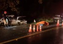 Colisão deixa quatro mortos em Sulina