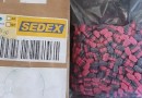Ecstasy postal: operação da PF mira tráfico de drogas em encomendas dos Correios em SC