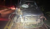 Idoso fica ferido após colisão com árvore no Oeste de SC