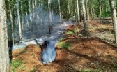 Bombeiros atuam em combate à incêndio em área com eucaliptos na Linha Consoladora