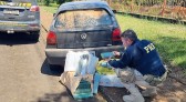 Polícia Rodoviária Federal apreende quase 100kg de maconha