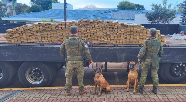 BPFRON e Polícia Federal apreendem 550 quilos de maconha e causam prejuízo de R$ 2 milhões ao crime