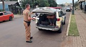 PM recupera motocicleta e prende ladrão momentos após ocorrer o furto