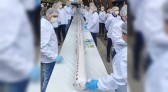 Mortadela de 88 metros e quase 2 toneladas é servida a moradores no aniversário de Concórdia