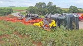 Carreta carregada de cebola tomba na BR-163