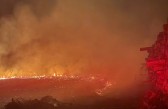 Incêndio em reflorestamento de eucalipto causa prejuízo de R$ 8 mil