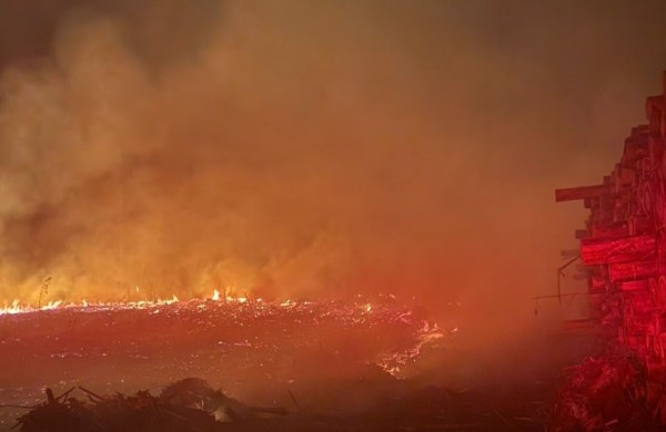 Incêndio em reflorestamento de eucalipto causa prejuízo de R$ 8 mil