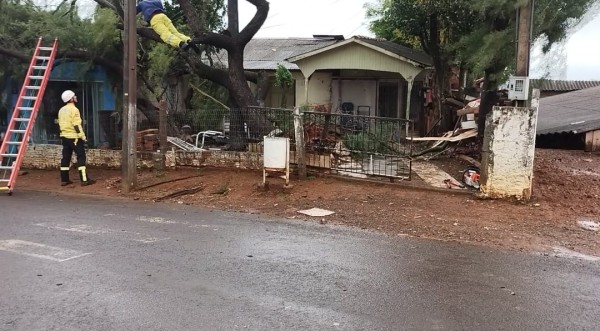 Árvore cai parcialmente sobre casa no Bairro Peperiguaçú