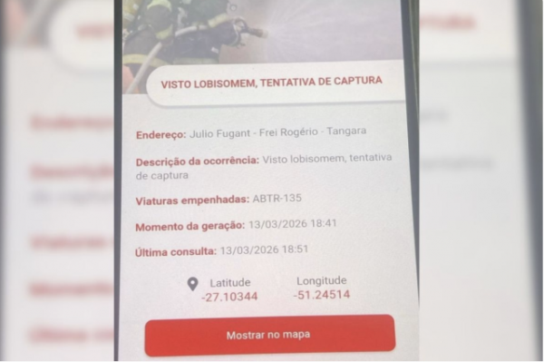 “Captura de lobisomem” em sexta-feira 13 viraliza em Santa Catarina; bombeiros esclarecem caso