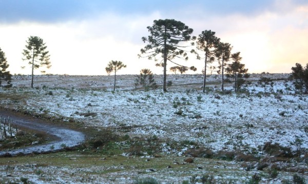 Frio começa nesta quarta-feira e mínimas podem chegar a 0ºC no Oeste