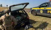 Após saltar de carro em movimento, homem é preso e PRF apreende 365 kg de maconha