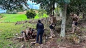 Droga apreendida em chácara é avaliada em mais de R$ 500 mil; suspeito baleado responderá por múltiplos crimes