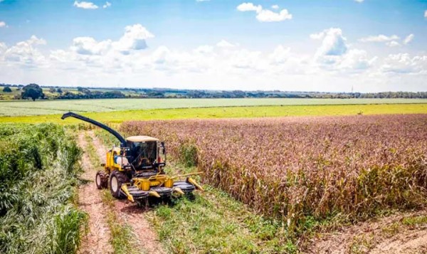 Safra de 2022 atingiu recorde de 263,155 milhões de toneladas, mostra IBGE