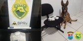 Polícia Rodoviária Estadual faz apreensões de cocaína nas rodovias do Sudoeste