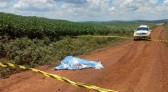 Homem é encontrado morto em estrada rural de Mangueirinha