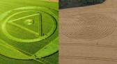Proprietário de terra que registrou agroglifo conta que esta é a segunda vez que desenhos surgem na plantação