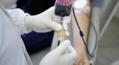 SC tem falta de quatro tipos sanguíneos; saiba como doar