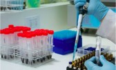 Motoristas profissionais têm até 28 de dezembro para regularizar exame toxicológico