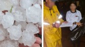 Temporal com granizo danifica casas e derruba árvore