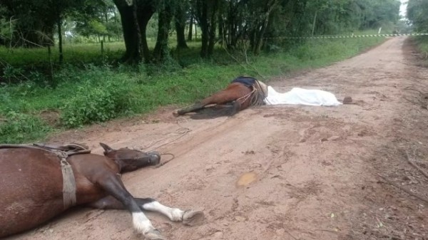 Homem e cavalos são encontrados mortos após suspeita de descarga elétrica no RS