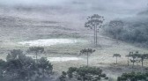 Santa Catarina amanhece com geada e temperaturas abaixo de 5ºC