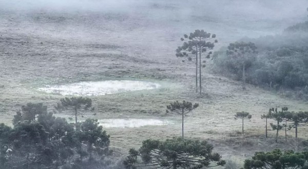 Santa Catarina amanhece com geada e temperaturas abaixo de 5ºC