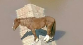 Cavalo que ficou ilhado nas enchentes do RS vira estátua de 4 metros em município gaúcho