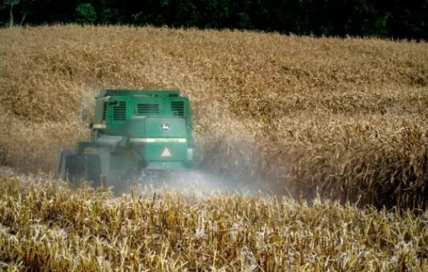 SC é responsável por cerca de R$ 46 milhões do valor bruto da produção agropecuária do Brasil