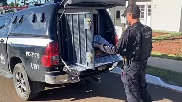 'Grupo de extermínio' suspeito de executar mais de 20 pessoas e gravar mortes no Paraná é alvo de operação policial em 17 cidades de 5 estados