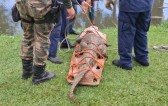 Bombeiros capturam jacaré de grande porte em galeria pluvial