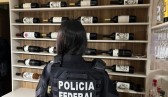 Após apreensão de 600 garrafas de vinho argentino, cidades de SC são alvos de operação policial