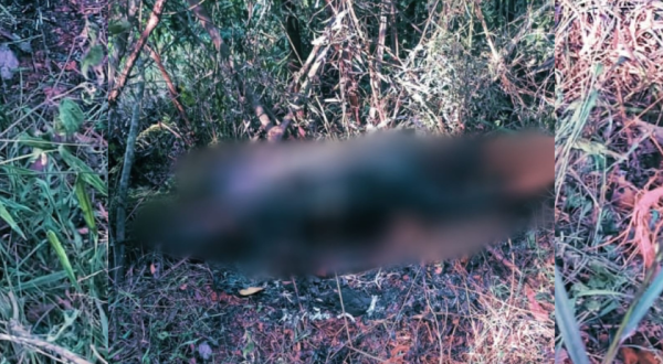 Corpo carbonizado encontrado no interior movimenta a policia do Brasil e Argentina
