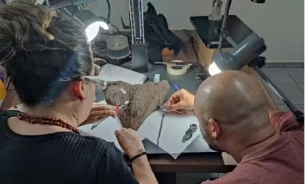 Fóssil de tartaruga gigante de 40 mil anos é descoberto na Amazônia