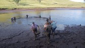Agricultores iniciam vendas para a tradicional Feira do Peixe da Semana Santa