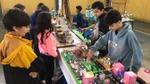 Segudo "Viva a Ciência" integra escolas da rede municipal de Beltrão