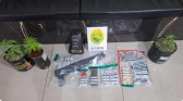 Polícia Militar prende homem por porte ilegal de armas de fogo e tráfico de drogas