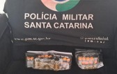 Polícia Militar apreende medicamentos, anabolizantes e cigarros eletrônicos em ação de contrabando