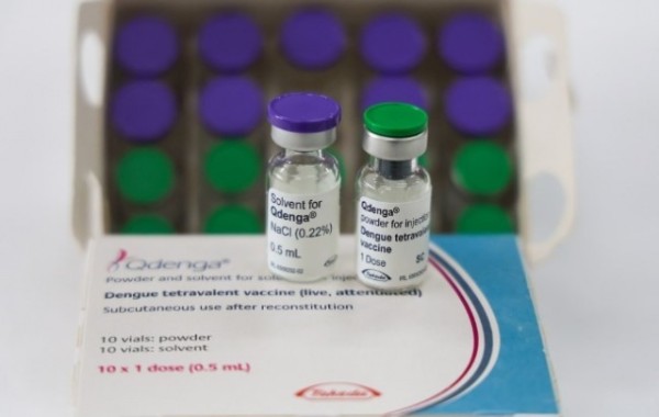 Vacina contra dengue começa a ser aplicada em crianças de 13 cidades de SC