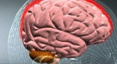Menino de 11 anos morre em decorrência de meningite bacteriana