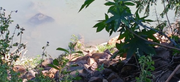 Corpo encontrado no Rio Marrecas pode ser de homem envolvido em furtos