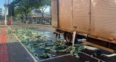 Caminhão carregado perde carga de cerveja em avenida no Oeste