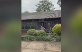Adolescente de 16 anos é esfaqueada por colega em escola no RS