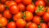 Tomate lidera queda nos preços das hortaliças em junho, aponta Conab