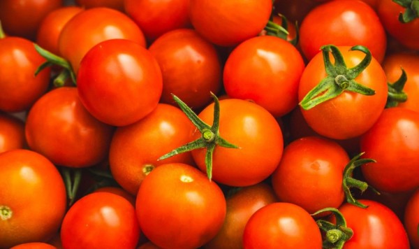 Tomate lidera queda nos preços das hortaliças em junho, aponta Conab